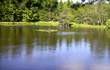 Ponton